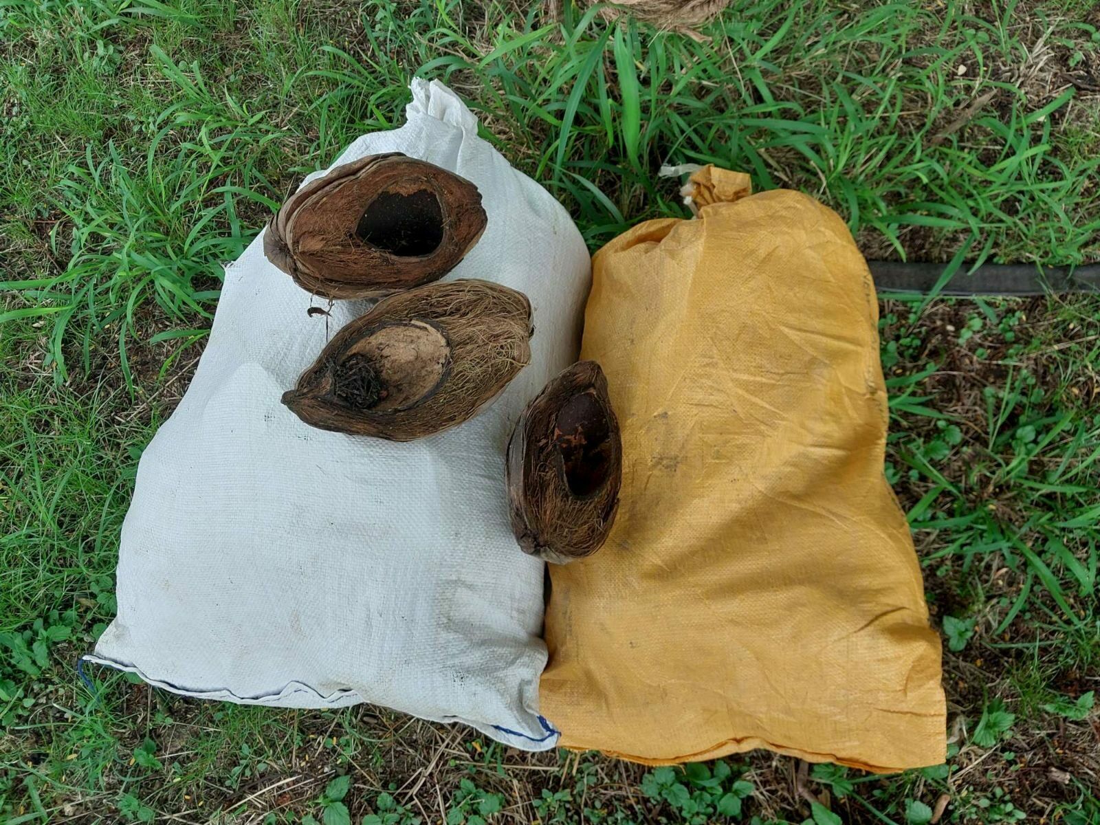 Sac de bourre de coco
